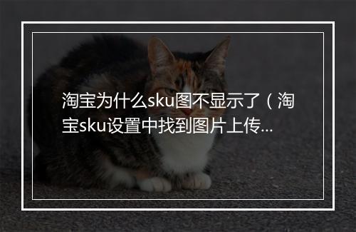 淘宝为什么sku图不显示了（淘宝sku设置中找到图片上传入口）