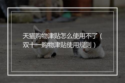 天猫购物津贴怎么使用不了（双十一购物津贴使用规则）