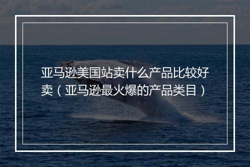 亚马逊美国站卖什么产品比较好卖（亚马逊最火爆的产品类目）