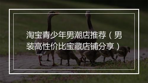 淘宝青少年男潮店推荐（男装高性价比宝藏店铺分享）