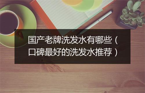 国产老牌洗发水有哪些（口碑最好的洗发水推荐）