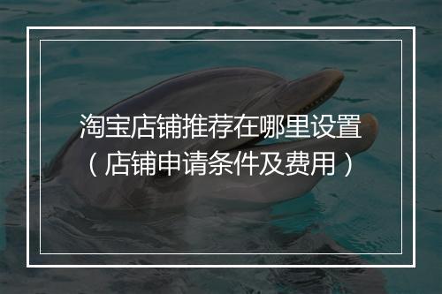 淘宝店铺推荐在哪里设置（店铺申请条件及费用）