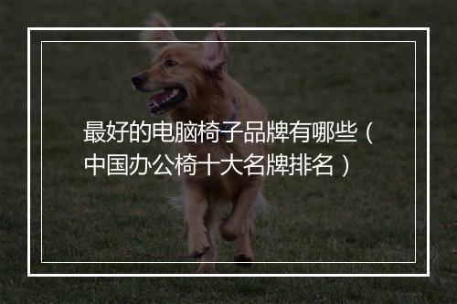 最好的电脑椅子品牌有哪些（中国办公椅十大名牌排名）
