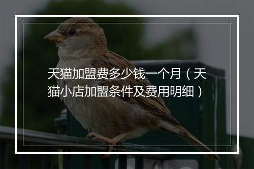 天猫加盟费多少钱一个月（天猫小店加盟条件及费用明细）