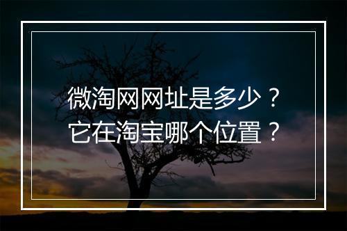 微淘网网址是多少？它在淘宝哪个位置？
