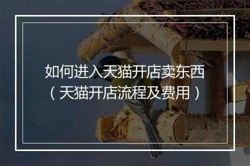 如何进入天猫开店卖东西（天猫开店流程及费用）