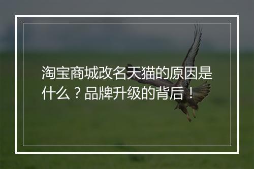 淘宝商城改名天猫的原因是什么？品牌升级的背后！