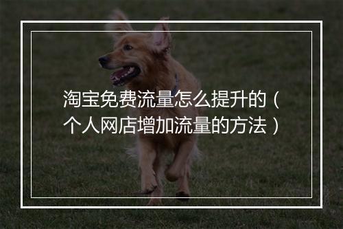 淘宝免费流量怎么提升的（个人网店增加流量的方法）