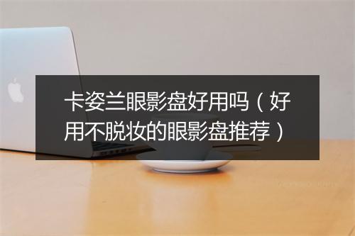 卡姿兰眼影盘好用吗（好用不脱妆的眼影盘推荐）