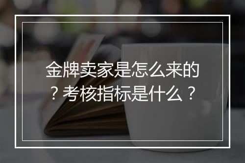 金牌卖家是怎么来的？考核指标是什么？