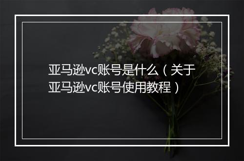 亚马逊vc账号是什么（关于亚马逊vc账号使用教程）