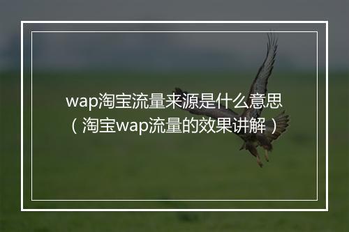 wap淘宝流量来源是什么意思（淘宝wap流量的效果讲解）