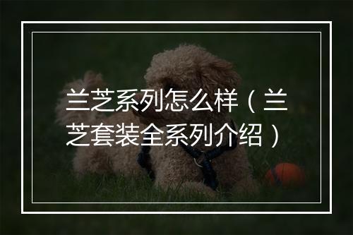 兰芝系列怎么样（兰芝套装全系列介绍）