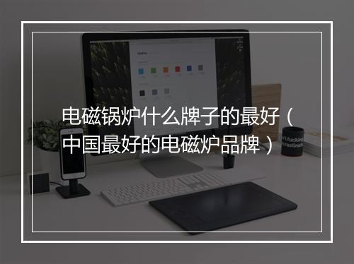 电磁锅炉什么牌子的最好（中国最好的电磁炉品牌）