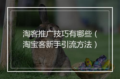 淘客推广技巧有哪些（淘宝客新手引流方法）