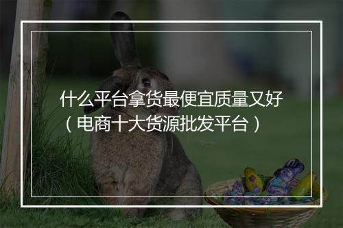 什么平台拿货最便宜质量又好（电商十大货源批发平台）