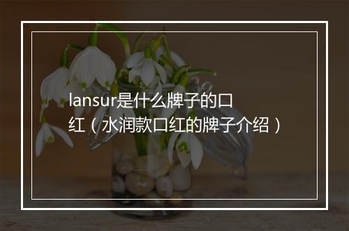 lansur是什么牌子的口红（水润款口红的牌子介绍）