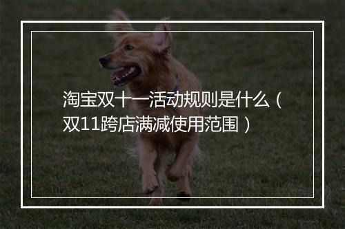 淘宝双十一活动规则是什么（双11跨店满减使用范围）