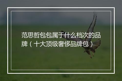 范思哲包包属于什么档次的品牌（十大顶级奢侈品牌包）
