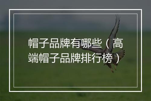 帽子品牌有哪些（高端帽子品牌排行榜）