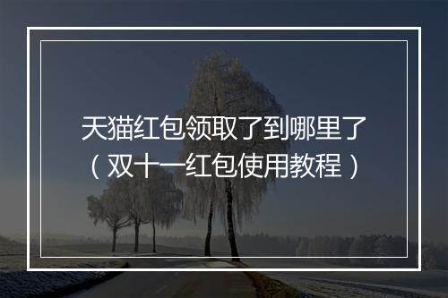 天猫红包领取了到哪里了（双十一红包使用教程）