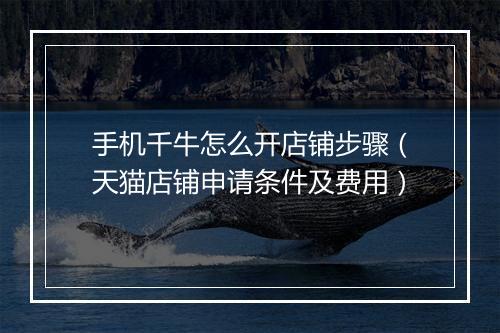 手机千牛怎么开店铺步骤（天猫店铺申请条件及费用）