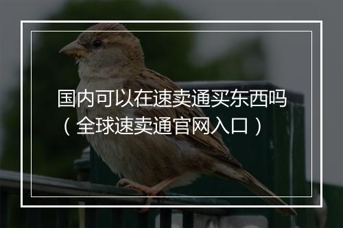 国内可以在速卖通买东西吗（全球速卖通官网入口）