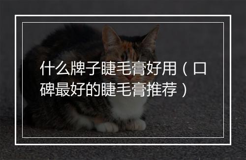 什么牌子睫毛膏好用（口碑最好的睫毛膏推荐）