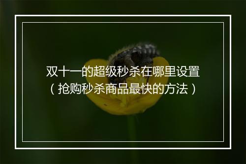 双十一的超级秒杀在哪里设置（抢购秒杀商品最快的方法）