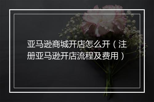 亚马逊商城开店怎么开（注册亚马逊开店流程及费用）