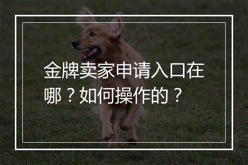 金牌卖家申请入口在哪？如何操作的？
