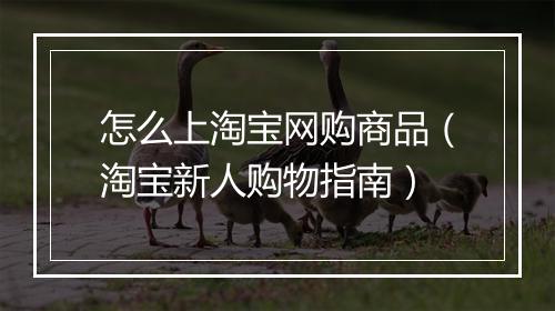 怎么上淘宝网购商品（淘宝新人购物指南）