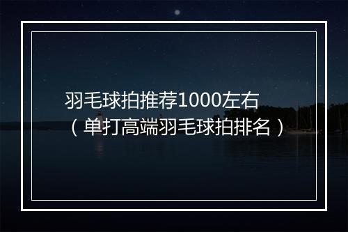 羽毛球拍推荐1000左右（单打高端羽毛球拍排名）