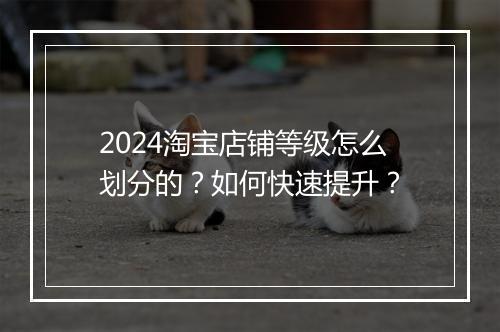 2024淘宝店铺等级怎么划分的？如何快速提升？