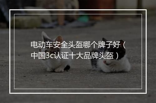 电动车安全头盔哪个牌子好（中国3c认证十大品牌头盔）