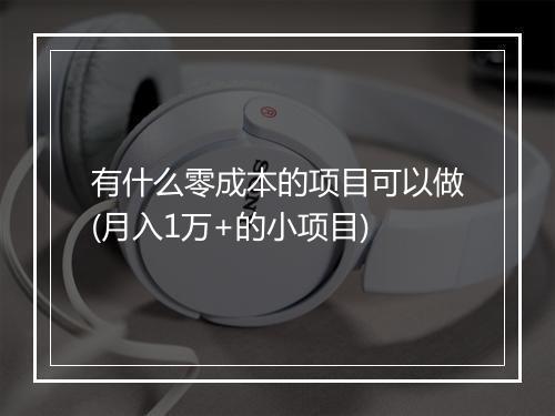 有什么零成本的项目可以做(月入1万+的小项目)