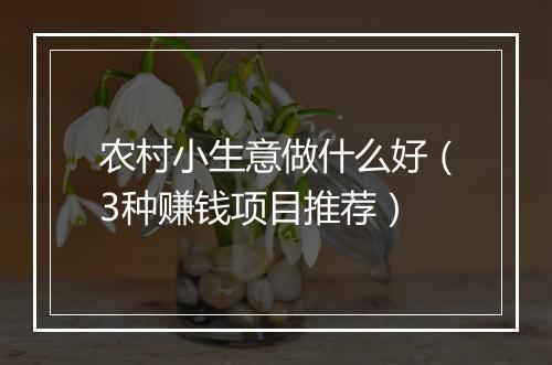 农村小生意做什么好（3种赚钱项目推荐）