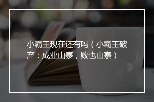 小霸王现在还有吗（小霸王破产：成业山寨，败也山寨）