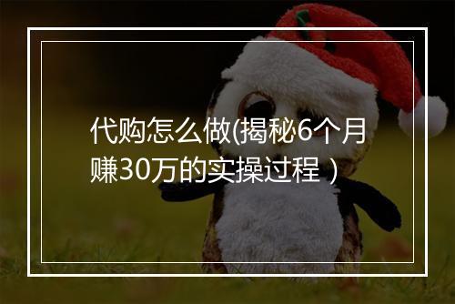 代购怎么做(揭秘6个月赚30万的实操过程）