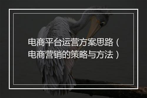 电商平台运营方案思路（电商营销的策略与方法）