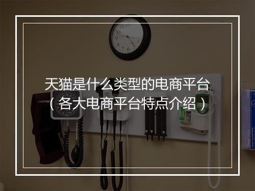 天猫是什么类型的电商平台（各大电商平台特点介绍）