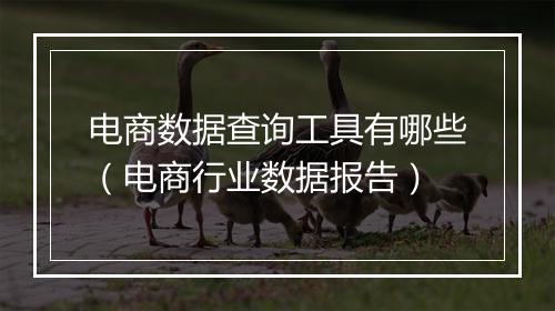 电商数据查询工具有哪些（电商行业数据报告）