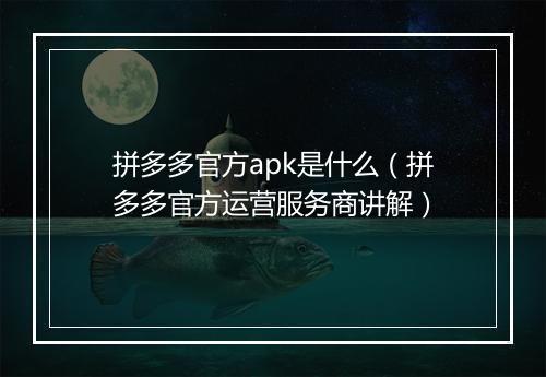 拼多多官方apk是什么（拼多多官方运营服务商讲解）