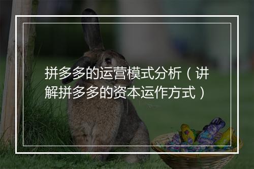 拼多多的运营模式分析（讲解拼多多的资本运作方式）
