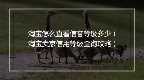淘宝怎么查看信誉等级多少（淘宝卖家信用等级查询攻略）