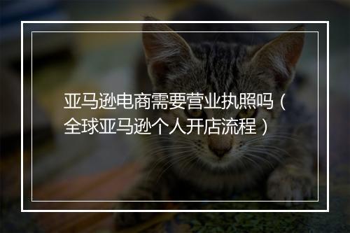 亚马逊电商需要营业执照吗（全球亚马逊个人开店流程）