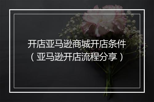 开店亚马逊商城开店条件（亚马逊开店流程分享）