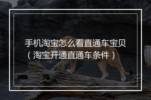 手机淘宝怎么看直通车宝贝（淘宝开通直通车条件）