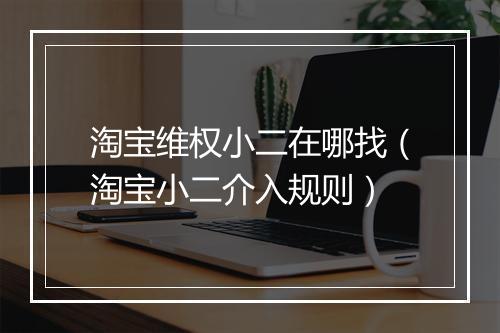 淘宝维权小二在哪找（淘宝小二介入规则）
