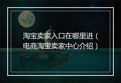 淘宝卖家入口在哪里进（电商淘宝卖家中心介绍）